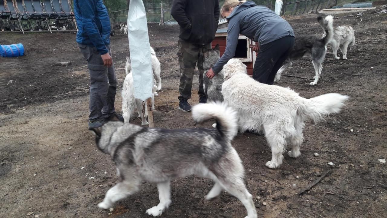 Cabin At Huskies Farm Inari Kültér fotó